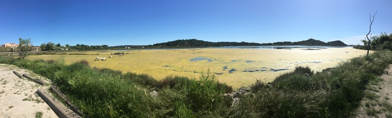 panorama of the countryside