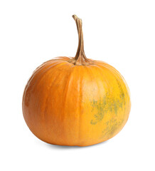 Fresh ripe pumpkin isolated on white. Organic plant