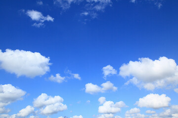 Fototapeta na wymiar 青空の雲