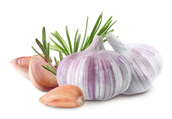 Fresh garlic with rosemary on white background