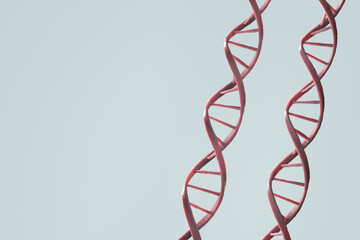 organic DNA strand with copy space