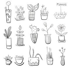 set of plants in pots and vases
