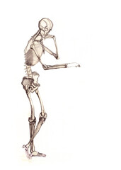 Skeleton thinking of something, hand drawn
