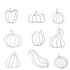 Set of pumpkins drawn in black outline