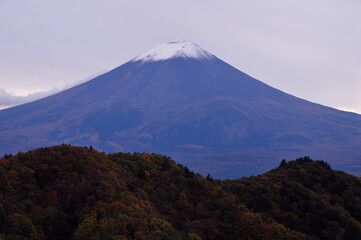Fototapeta premium 富士山