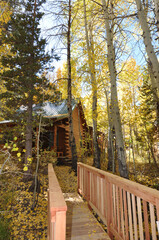 Idyllic vertical fall scene with a cabin in the woods with fall colors, and a small wooden bridge