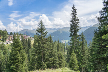Obraz premium Forest and mountains