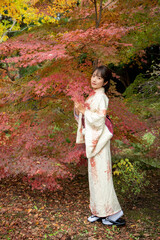 美しい日本女性