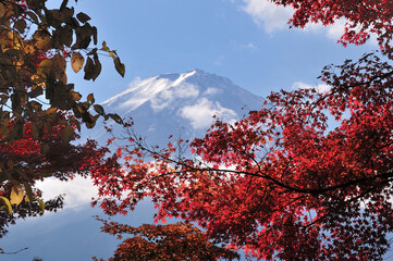 富士と紅葉