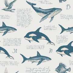Seamless pattern with handwritten latin text Lorem ipsum, hand-drawn fishes and other sea inhabitants. Vector background in vintage style, suitable for wallpaper, wrapping paper, fabric © paseven