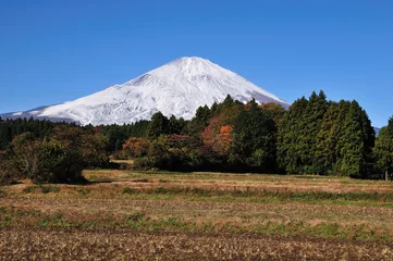 Foto op Canvas 富士山 © Paylessimages
