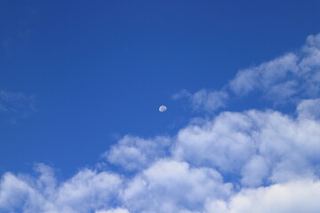 青空に映える月と雲