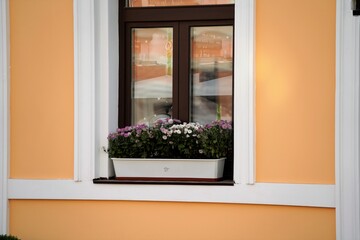 window with flowers in the background