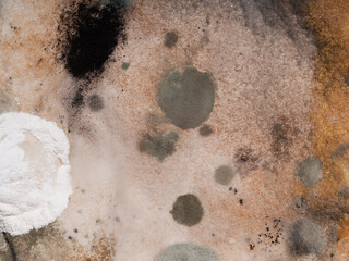 spoiled moldy old bread with fungus spores growing