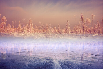 Obraz premium forest by the lake, winter landscape, transparent ice nature view