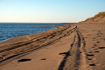 Car footprint on a wild beach. Summer sand beach background. Adventure tourism. Holiday trip concept.