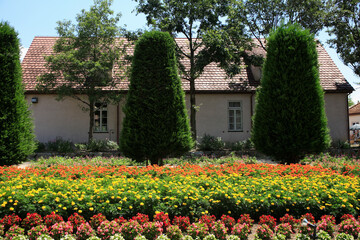 Obraz premium ブルーメの丘