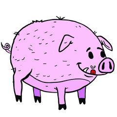 pig