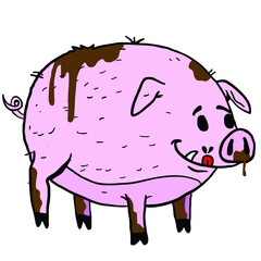 pig