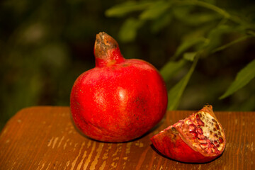 pomegranate fruit on a tree