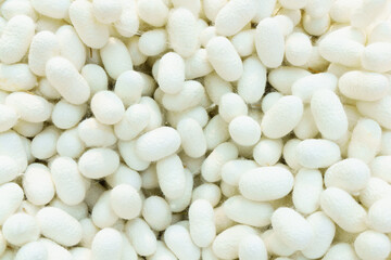 White cocoon for making silk threads