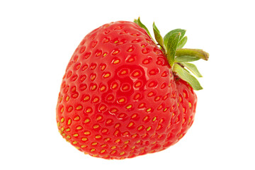 Strawberry fruit closeup isolated on white background