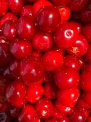 red currant background