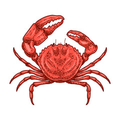 Illustration of crab in engraving style. Design element for logo, emblem, sign, poster, card, banner. Vector illustration