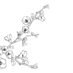 Hand drawn design elements sakura flowers collection.