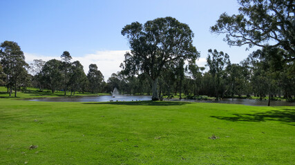 landschaft park mit wasser see un dbaum naherholung