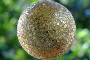 close up of a ball in a tree