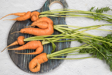 A few ugly, oddly shaped carrot roots lie on a round wooden chopping Board . A place for a copy of space. Horizontal orientation