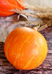 Autumn harvest. A mellow pumpkin on a rustic background