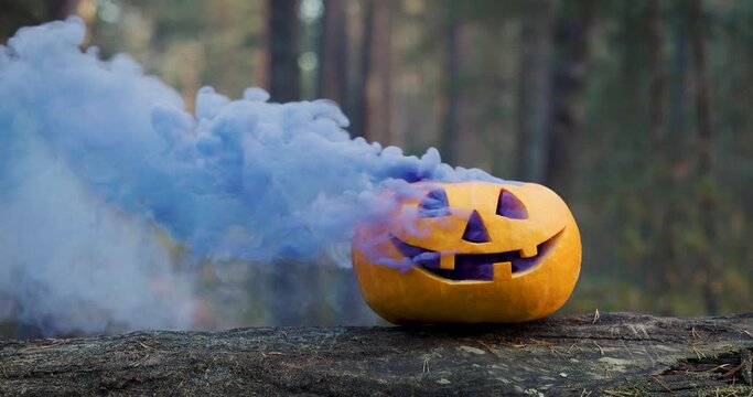halloween pumpkin with blue smoke in autumn forest. slow motion