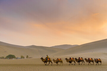Camel caravan at Gobi desert. This is a famous place part of the silk road in Dunhuang, Gansu, China.