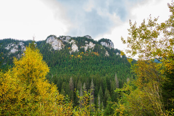 Felswand mit herbstlich gefärbten Bäumen