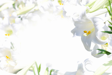 ユリの花