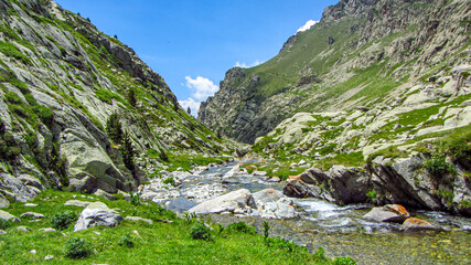 Pyrenees summer scenery in a summer and sunny day with river. Mountain range for hiking and trekking. Outdoor and adventure activities.