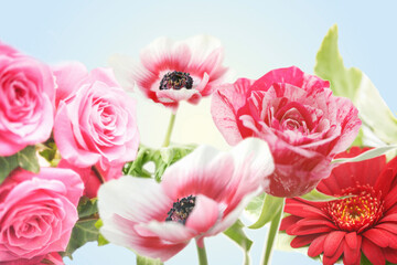 Fototapeta premium 花