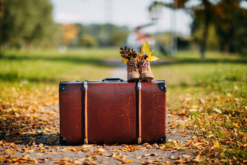 Old brown boots with leaves inside. Boots and brown vintage suitcase in autumn forest. Path with yellow leaves. Leather suitcase under the tree. Autumn nature, yellow and red foliage.