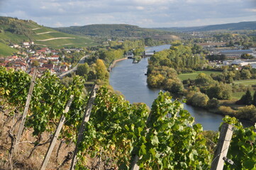 Fototapeta na wymiar view over the river Main and the lock from the vineyards above Randersacker on an autumn sunny day, Franconia, Bavaria, Germany