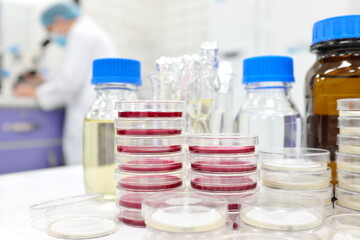 Selective focus of stack of petri dish with agar and a scientist microbiologist working on a microscope at the back. Disease and medical laboratory research with copy space.