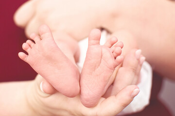 Obraz na płótnie Canvas Newborn feet in mother hands. Motherhood concept.