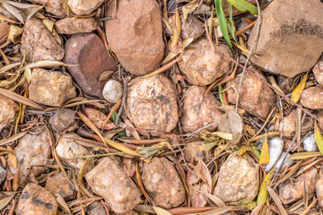 Rough stones and small dry withering leaves full frame image for background use