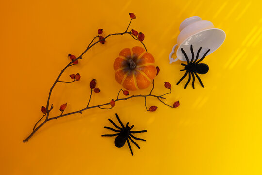 Herbst Deco mit schwarze Spinnen.