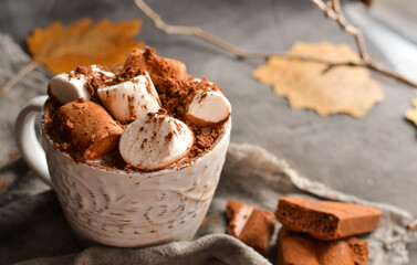 Hot chocolate and marshmallows. Hot Cocoa in a white cup. Dark background. Autumn drink concept. Copy space.