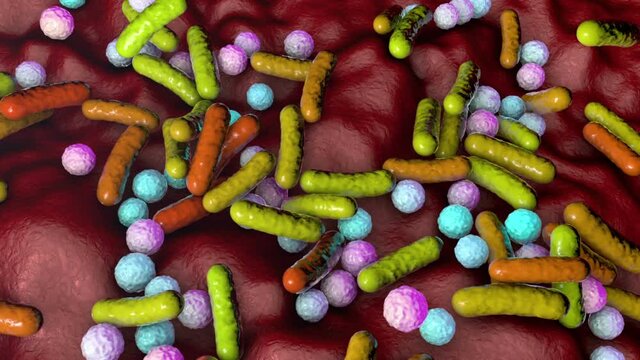 Bacteria of different shapes, rod-shaped bacteria and cocci, human microbiome, human pathogenic bacteria, 3D animation
