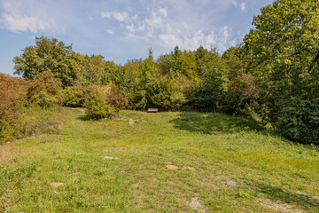Hill in a meadow with green grass with uneven terrain with a wooden bench and lush trees with green...