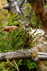 Hesse, the land where the mountains wave and the rivers dance through the landscape! Here, where the Spessart forest shakes its green curls and the Rheingau flirts with its vineyards