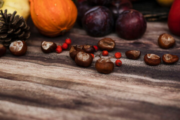 Autumn vegetables. Collect fresh on wood.